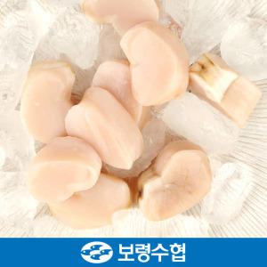 보령수협 키조개 관자 1kg