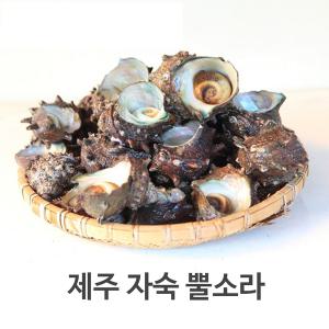 서귀포수협 제주 자숙 뿔소라 500g/1팩