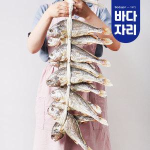 영광 법성포 부세 보리굴비 30cm 내외 특대 10마리