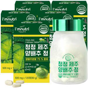 아임뉴트리 청정 제주 양배추환 양배추 정 500mg x 120정 5박스