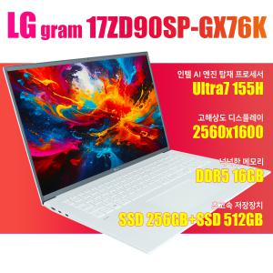 LG그램/17ZD90SP-GX76K/NVMe SSD 512GB추가/WIN11설치