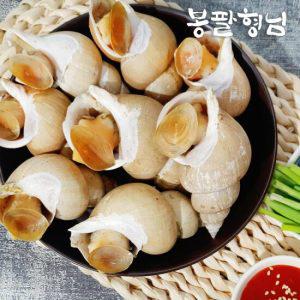 활 백고동 소 1kg (35-40미) 국산 백골뱅이