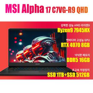 MSI 알파 17 C7VG-R9 QHD/NVMe SSD 512GB추가/WIN11설치