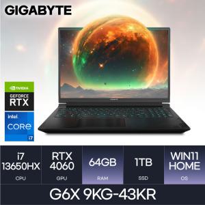 GIGABYTE 기가바이트 G6X 9KG-43KR Win11 (D5-64GB/1TB) HMC