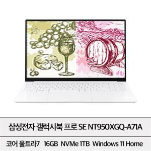 삼성전자 갤럭시북 프로 SE NT950XGQ-A71A 16GB 1TB Win11 TF