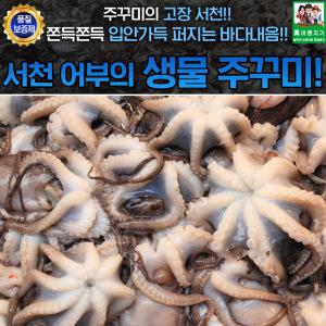 서천 생물 주꾸미 1kg