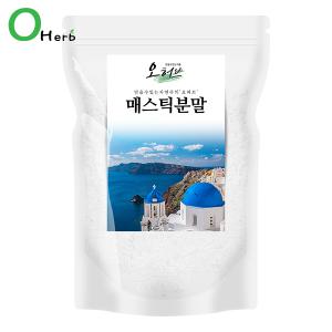 매스틱검 매스틱가루 500g