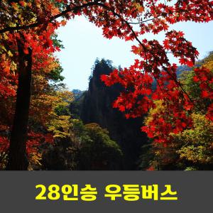 설악산 흘림골 단풍 국립공원 안내산악회