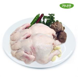 가나안식품 국내산 생닭/대 2마리 백숙 통닭구이 개별 진공포장