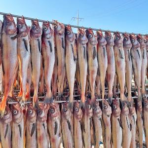 [맛도리] 반건조 노가리 10미 국내가공