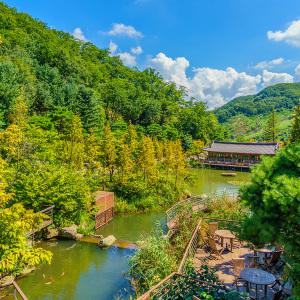 [경기] 광주 화담숲+여주 신륵사+ 명성황후 생가+용인 와우정사 당일여행 / 서울근교 / 서울경기出