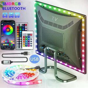 USB LED 스트립 라이트 테이프  블루투스 2835 SMD 5V RGB 조명 유연한 램프 리본 셀프 접착 TV 데스크탑