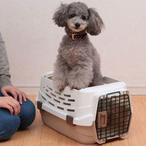 [제이큐]강아지 고양이 오픈형 켄넬 반려견 캐리어 이동장 M