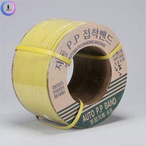 PP밴드 자동 창성 12mm 8kg 황색