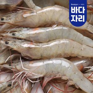 [바다자리] 산지직송 신안 활새우 1kg 새우구이 국산새우 26-35미