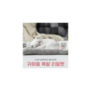 인형 차량용 강아지 고양이 탈취 리얼펫 제습효과 잠자는 장식