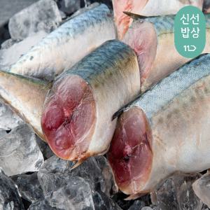 부산13번 중매인 생물고등어 중(조림용,소금간x) 900g 3미