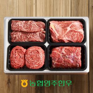 [농협영주한우]1+ 로스정육모듬 한판 9호 / 총 1,2kg (등심,채끝,불고기,양지)