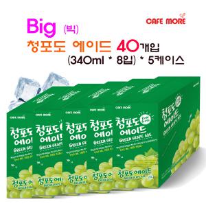 [아이스커피] 빅 청포도에이드 (340ml 40개입)