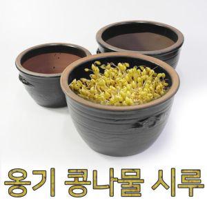 옹기콩나물시루 소 콩나물 콩나물시루 콩나물키우기 콩나물재배