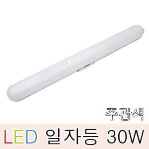 라이톤 LED 일자등 30W 형광등 주차장 다용도 주방 거실 방등 창고 사무실 트윈 스키 전등