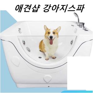 애견미용샵 스파 욕조 강아지 고양이 버블 배스