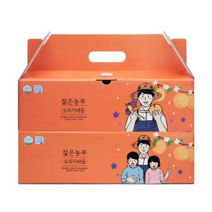 [소비기한 임박] 푸릇담 젊은농부 도라지배즙, 100ml, 60포, 1개