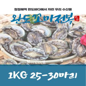 완도전복 1kg 25-30마리 캠핑용 구이용 꼬마전복 (원산지: 전라남도 완도군) 