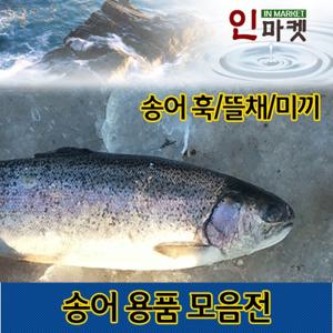 송어용품모음-송어낚시대 채비 빙어 산천어 미끼