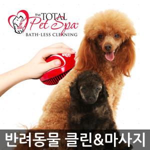 펫 스파 브러쉬/목욕X 마사지/강아지/고양이/털 제거/