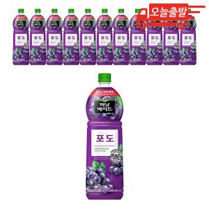 오늘출발 미닛메이드 포도 주스 1.5L 12개