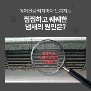 에어컨세적제 곰팡이균제거 에코빌레 500ml 벽걸이 스탠드 천장형 창문형 에어컨 세정제