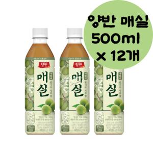 양반 매실 노인정 음료수 500ml x 12개 주스 과즙음료 과일