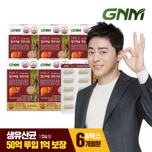 [간건강, 장건강] GNM 건강한 간 밀크씨슬 생유산균 6박스 / 프로바이오틱스 실리마린