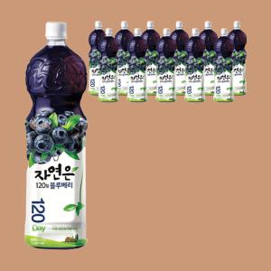 자연은 블루베리 주스, 1.5L, 12개 달콤한 주스