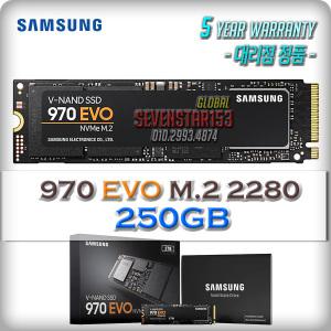 970 EVO 250GB M.2 2280 NVMe 정품 5년무상~