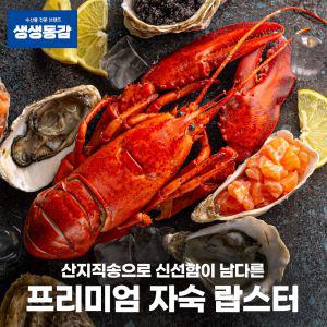 고씨네 자숙랍스타 550g 랍스터 자숙랍스터 킹크랩