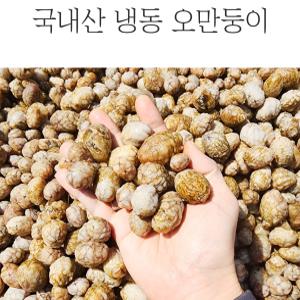 국내산 오만둥이 냉동 1박스 10KG 벌크