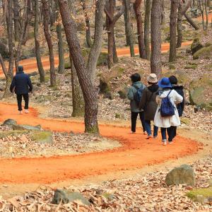 [칠곡] 가산수피아 연간회원권 2차/대구레일썰매/경북/대구가볼만한곳/대구수목원/경북가볼만한곳/경북여행/가산수피아/물놀이장/수영장