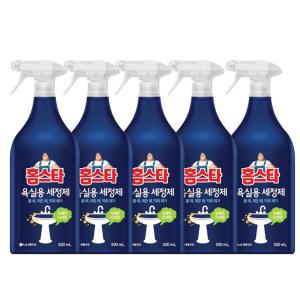 홈스타 욕실용세정제 500ml 5개