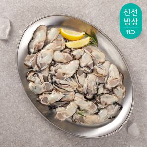 [품질보장] 통영 최상급 햇 생굴 1kg