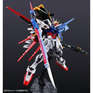 RG 퍼펙트 스트라이크 건담 한정판 PERFECT STRIKE GUNDAM