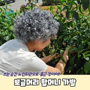 마켓헤라 촌캉스 실버 흰머리 할머니가발 아줌마 촌캉스룩 백발 파티 할미룩 분장용 노인 소품 뽀글머리