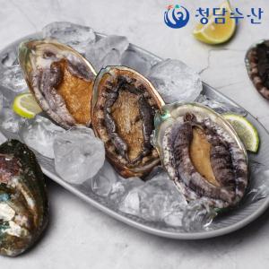 [청담수산] 완도 특대 전복 왕특대 10마리 1kg (마리당100g 이상)