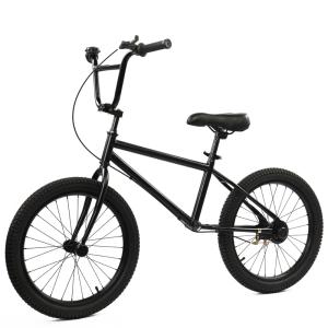 BMX 20인치 입문용 이색 상품 비엠엑스 묘기자전거 초보자