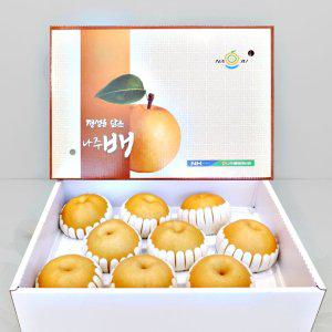 나주 배 원황 신고배 햇배 특품 5kg 5-7과 선물세트