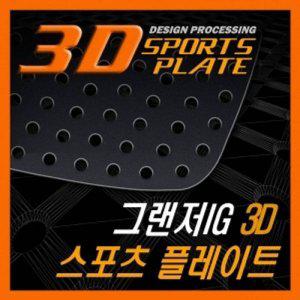 그랜져IG 3D 타공 스포츠 플레이트 몰딩 좌우 1set