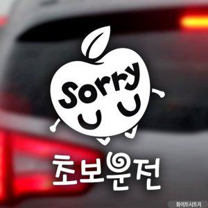 사과 sorry 초보운전 초보운전스티커-화이트