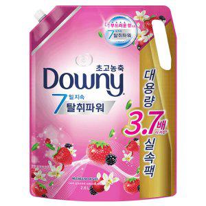 다우니 베리 2.6L