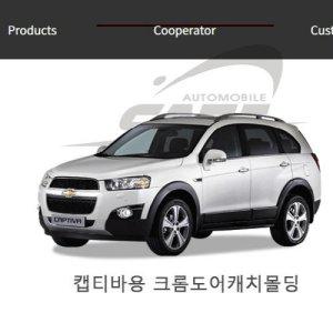 08년 캡티바 도어캐치몰딩 크롬 9pcs 윈스톰공용 (반품불가)